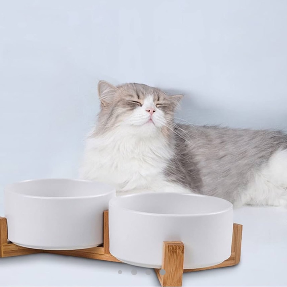SPUNKYJUNKY Dog and Cat Ceramic Pet Bowls with Wood Stand